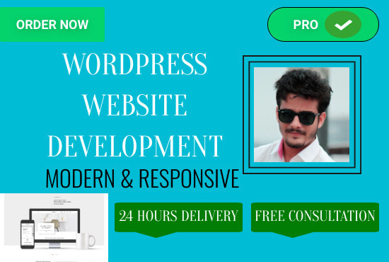 I will do wordpress website development