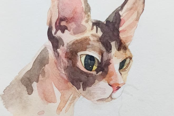 I will draw a watercolor portrait of your cat dog animal pet