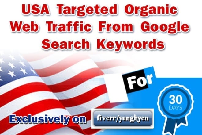 I will drive USA targeted organic web traffic from google search keywords
