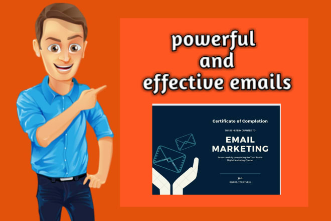I will email campaign email writing sales letter mailing email copy