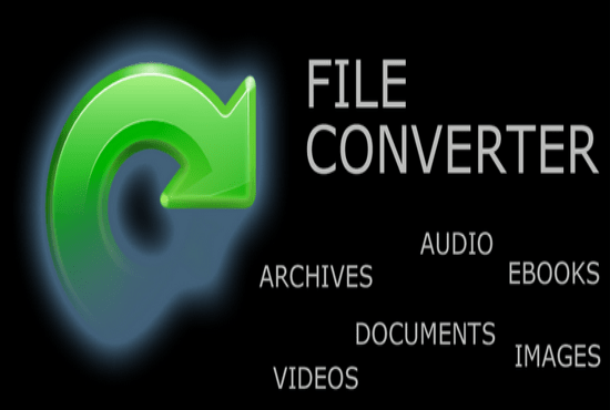 I will format and convert Your File To KINDLE Format within 24hours