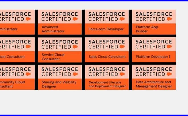 I will help IT professionals to get salesforce certification