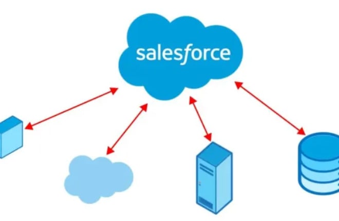 I will help you in API integration and migration with salesforce