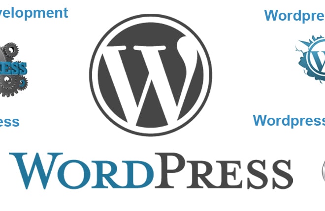 I will help you with any wordpress jobs