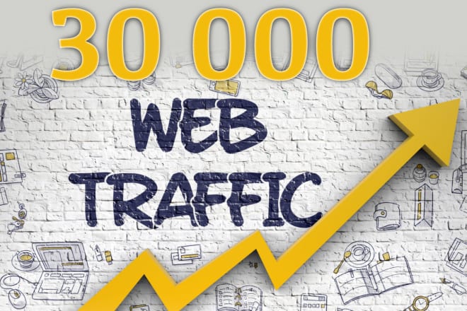 I will increase your web traffic by 1000 visits per day for 1 month