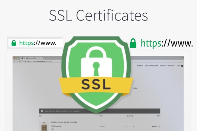 I will install ssl certificate or fix ssl issue http to https