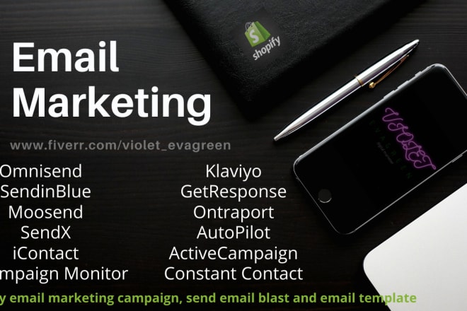 I will klaviyo email marketing shopify marketing, send email blast and email template