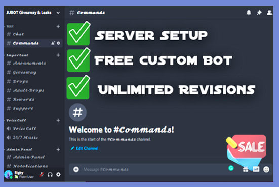 I will make a professional discord server with a free custom bot