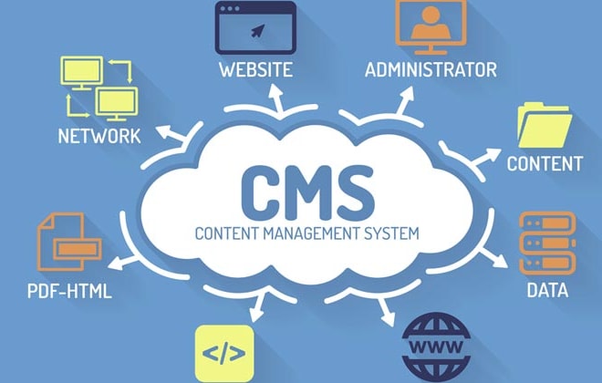 I will make custom cms for you