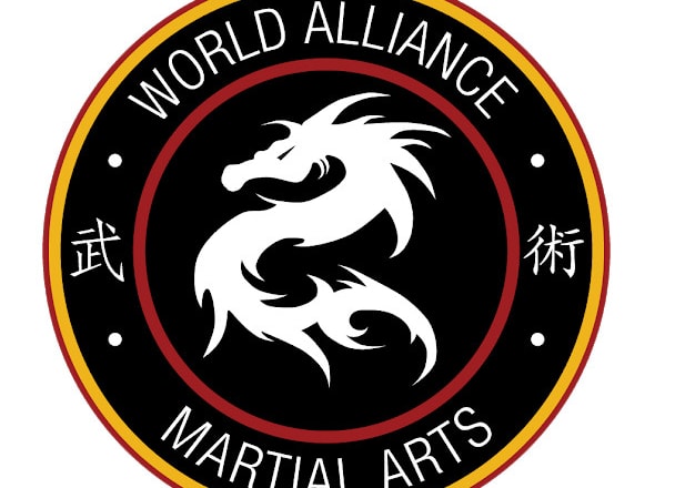 I will make martial arts logo design with free vector file