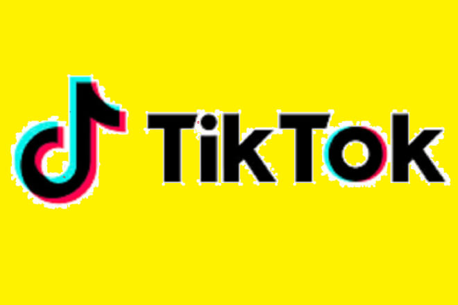 I will make your tiktok music video go viral with my organic promotion