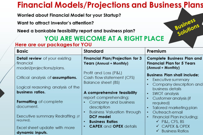 I will prepare financial model and business plan for your startup