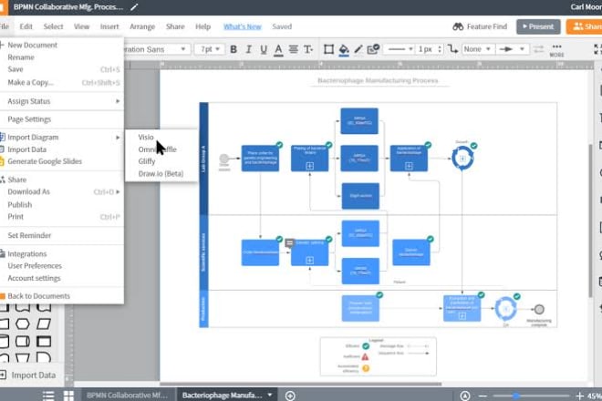 I will prepare flowcharts and diagrams on ms visio for you