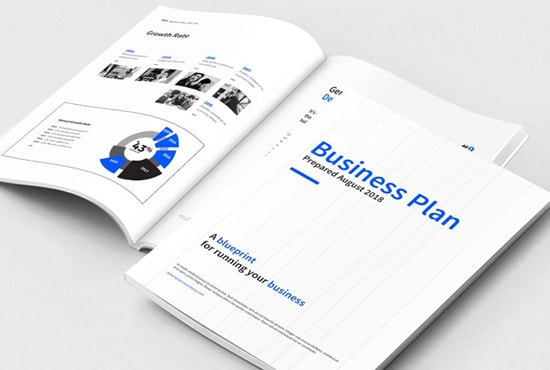 I will prepare the perfect business plan