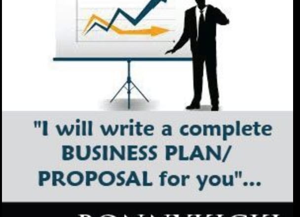I will professionally write a business plan or proposal