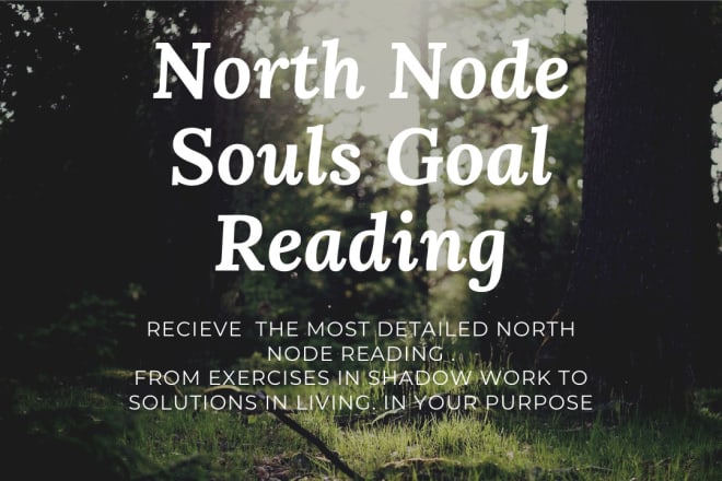 I will provide a full north node your soul goals reading via mp3