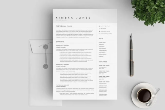 I will provide a professional resume writing service