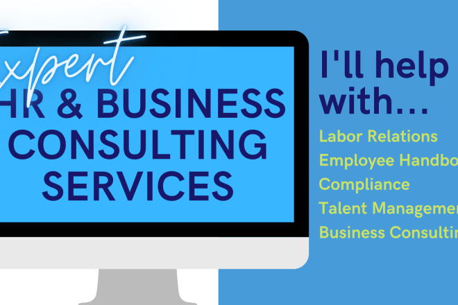 I will provide expert HR consulting services