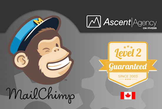 I will provide mailchimp automation services