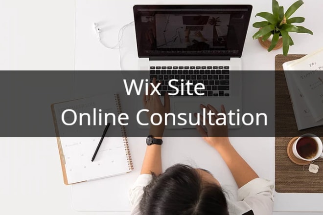 I will provide wix site online video consultation in 24 hrs