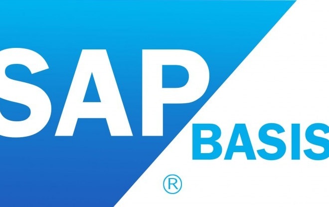 I will sap basis administration support and implementation