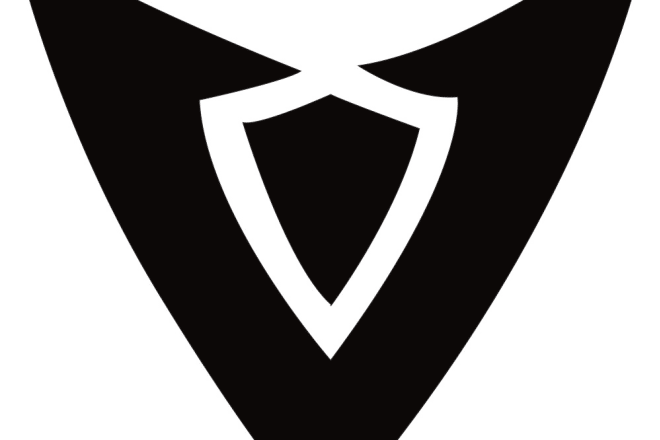 I will sell you a ready v shape logo