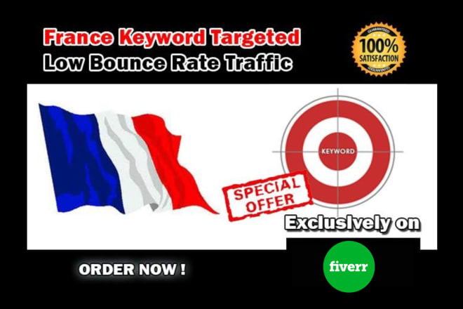 I will send 20,000 visitors from france to your website