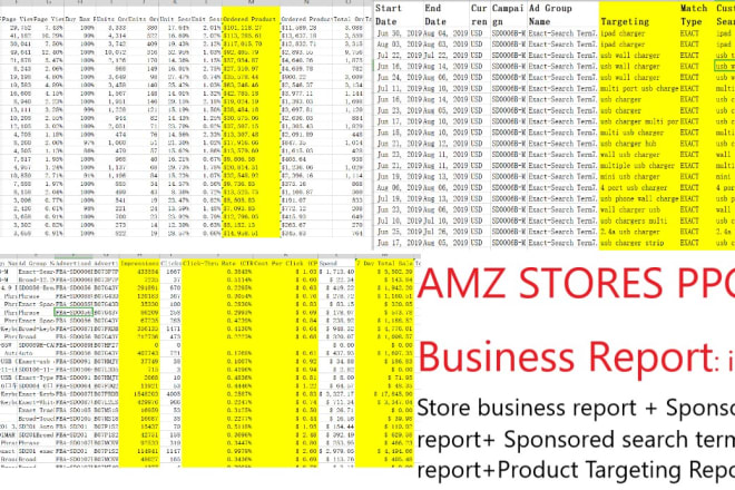 I will send any amazon store real PPC business reports