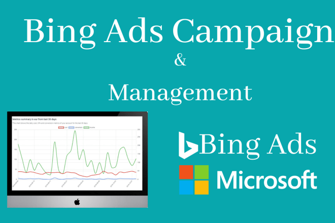 I will setup bing search and shopping ads campaign