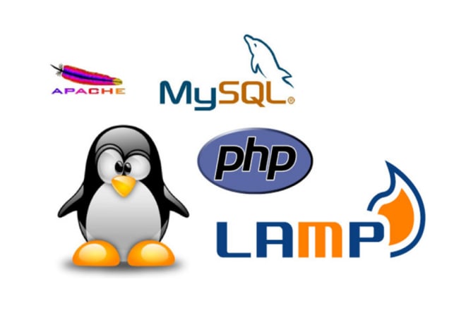 I will setup lamp or lemp, phpmyadmin, PHP, apache, nginx on aws, vps