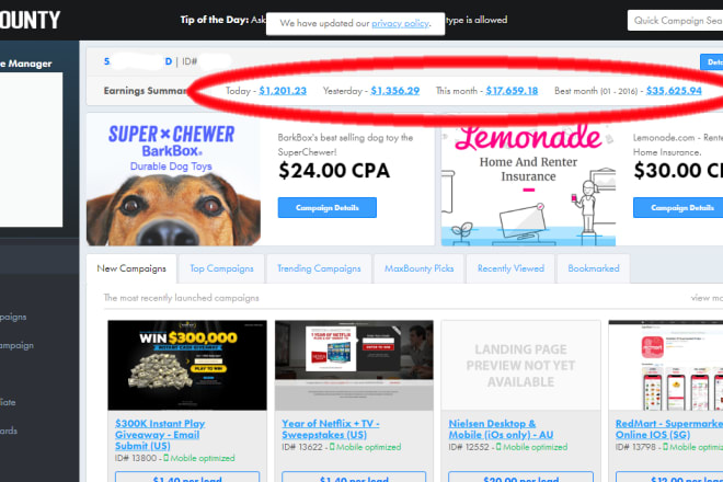 I will show the CPA 1000 dollars month method with youtube