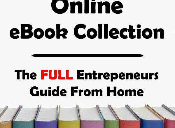 I will show you how to make money online, the entrepreneurs guide from home
