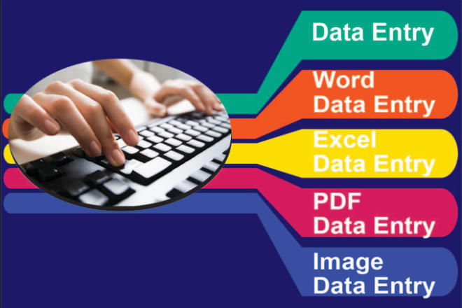 I will smart data entry in one day with logical representation