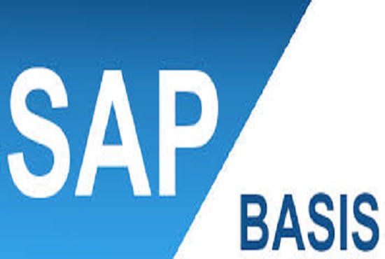 I will solve your sap basis issues