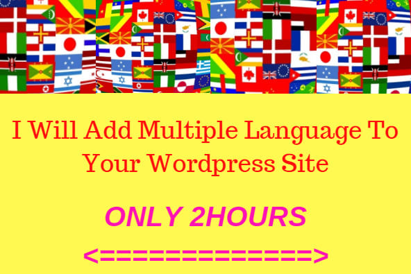 I will translate wordpress website into multi language