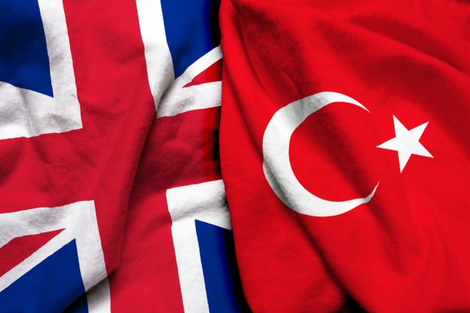 I will turkish to english and english to turkish translations