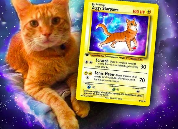 I will turn your pet into a pokemon card