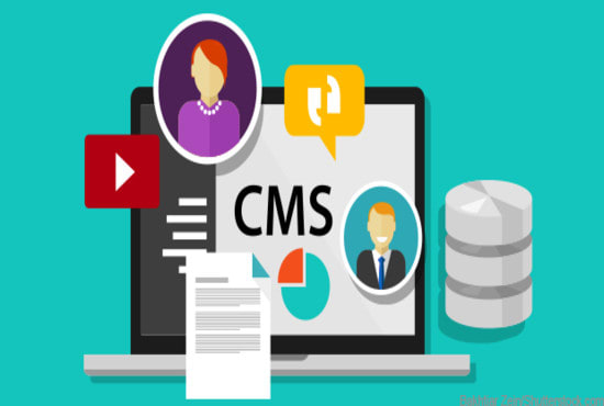 I will upgrade, install or repair any cms software