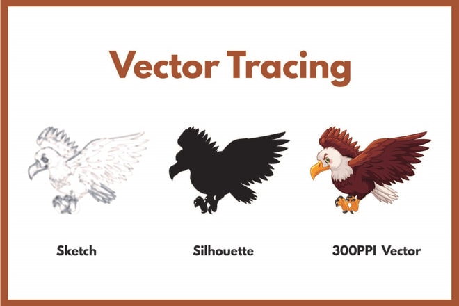 I will vectorise, trace your logo raster to vector superfast