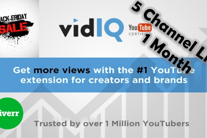 I will vidiq account service for youtube to rank channel