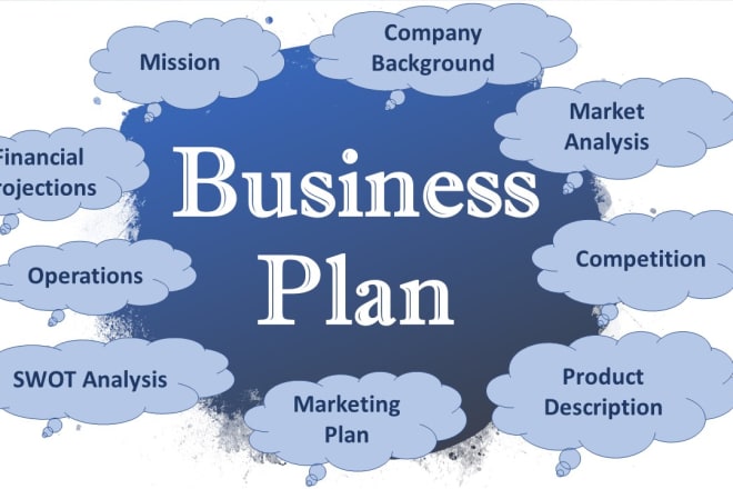I will write a custom business plan with financial model