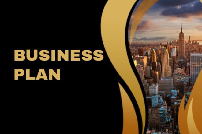 I will write an immigration business plan
