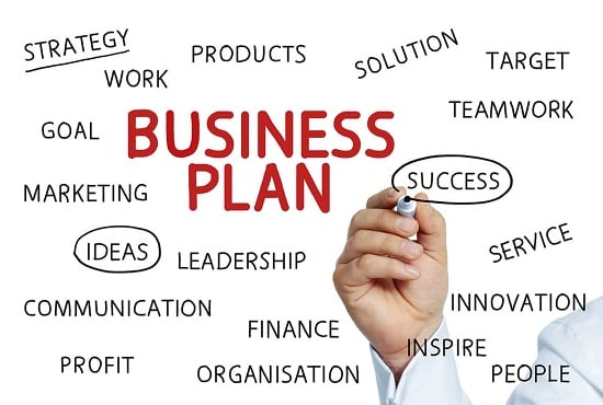 I will write business plan for startups