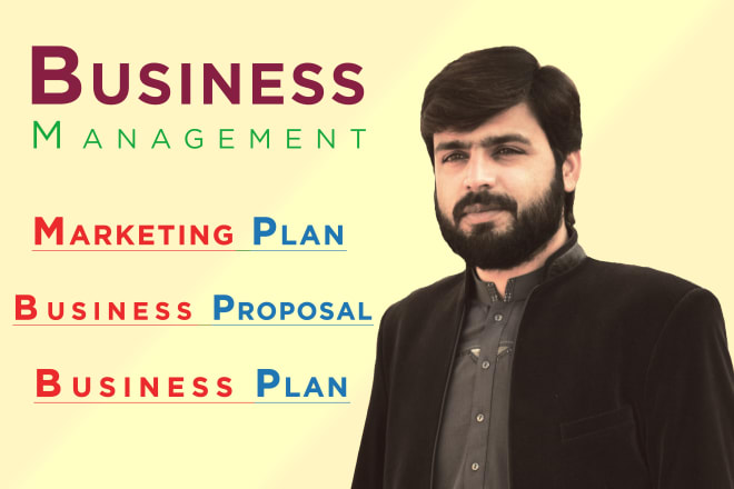 I will write perfect startup business plan and business proposal
