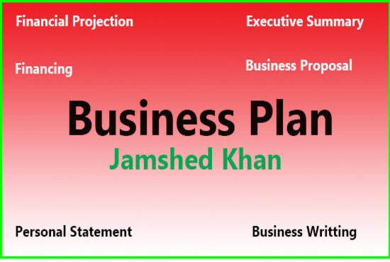 I will write startup investment or loan business plan
