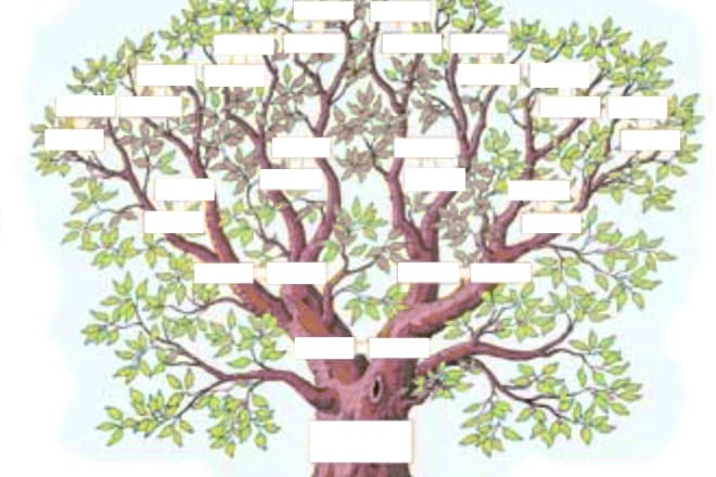 I will analyse your family tree using psychogenealogy