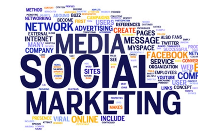 I will be your expert social media marketing manager and social marketing