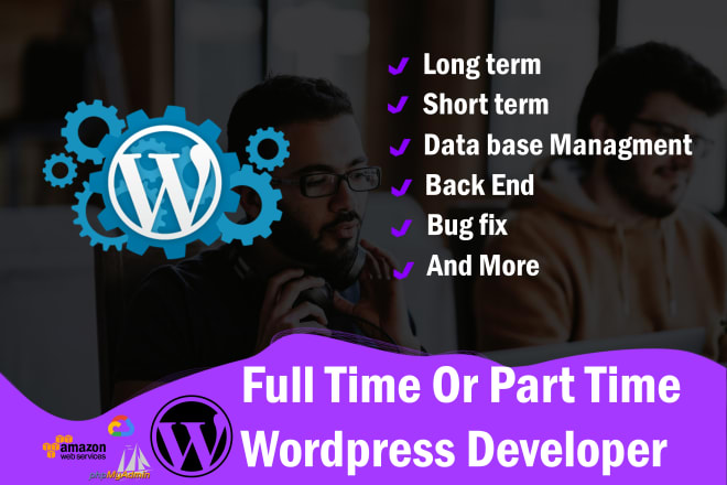 I will be your full time or part time wordpress developer