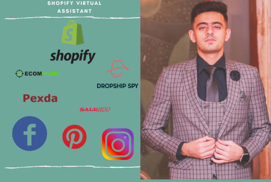 I will be your professional shopify virtual assistant for hire