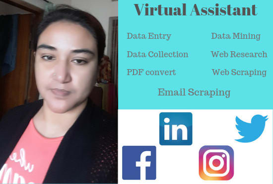 I will be your virtual assistant for data entry, email scraper, web research in 24hour